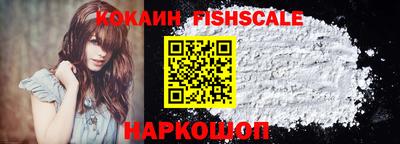 крисы Камышлов