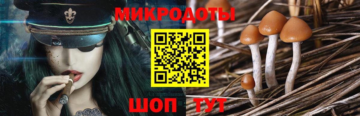 Псилоцибиновые грибы MAGIC MUSHROOMS Котовск